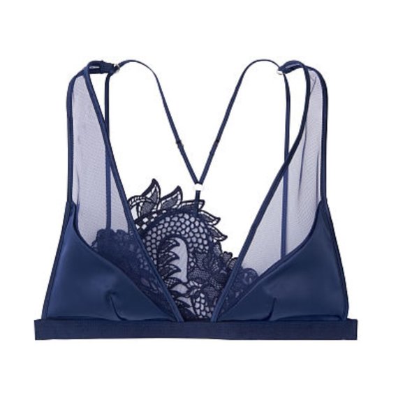 Victoria's Secret Other - VS Luxe Lingerie Blue Dragon Lace Plunge Bra XS